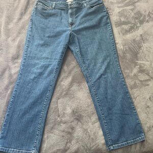 L.L. Bean Blue Flare Wide Leg Jeans